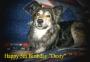 Dusty at 5th birthday